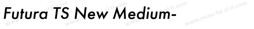 Futura TS New Medium字体转换